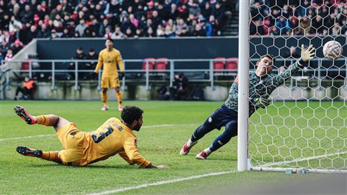 Zoom Shop Bet: Best Picks for Homeowners